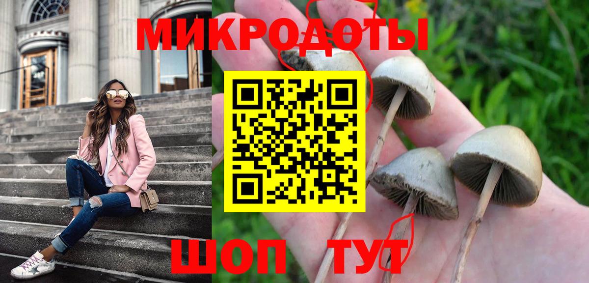 Псилоцибиновые грибы GOLDEN TEACHER Красноярск