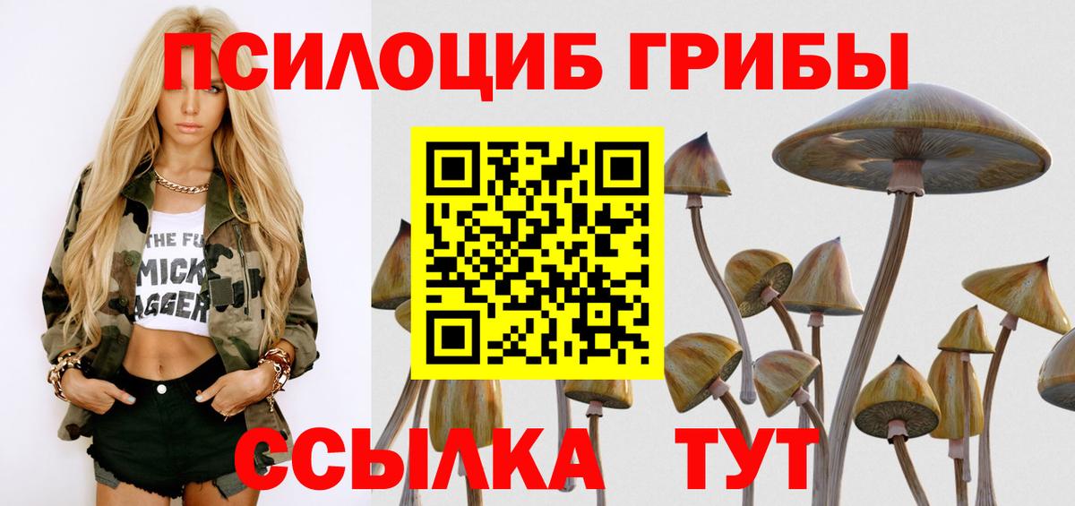 Псилоцибиновые грибы Psilocybine cubensis  Вход с VPN  Красноярск 